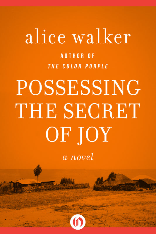 Alice Walker Colour Purple ebooks Collection  (epub,mobi)